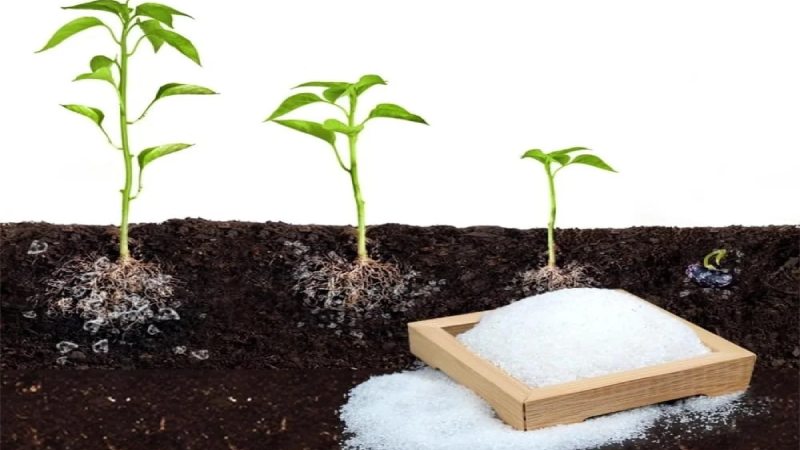 استفاده از سوپر جاذب برای کشاورزی